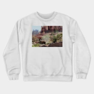 Desert View Crewneck Sweatshirt